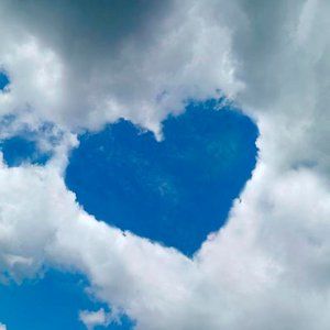 Meet your Posher, Ava